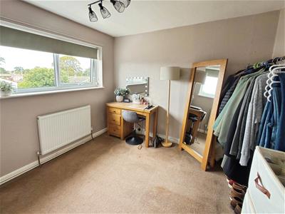 Picture 13